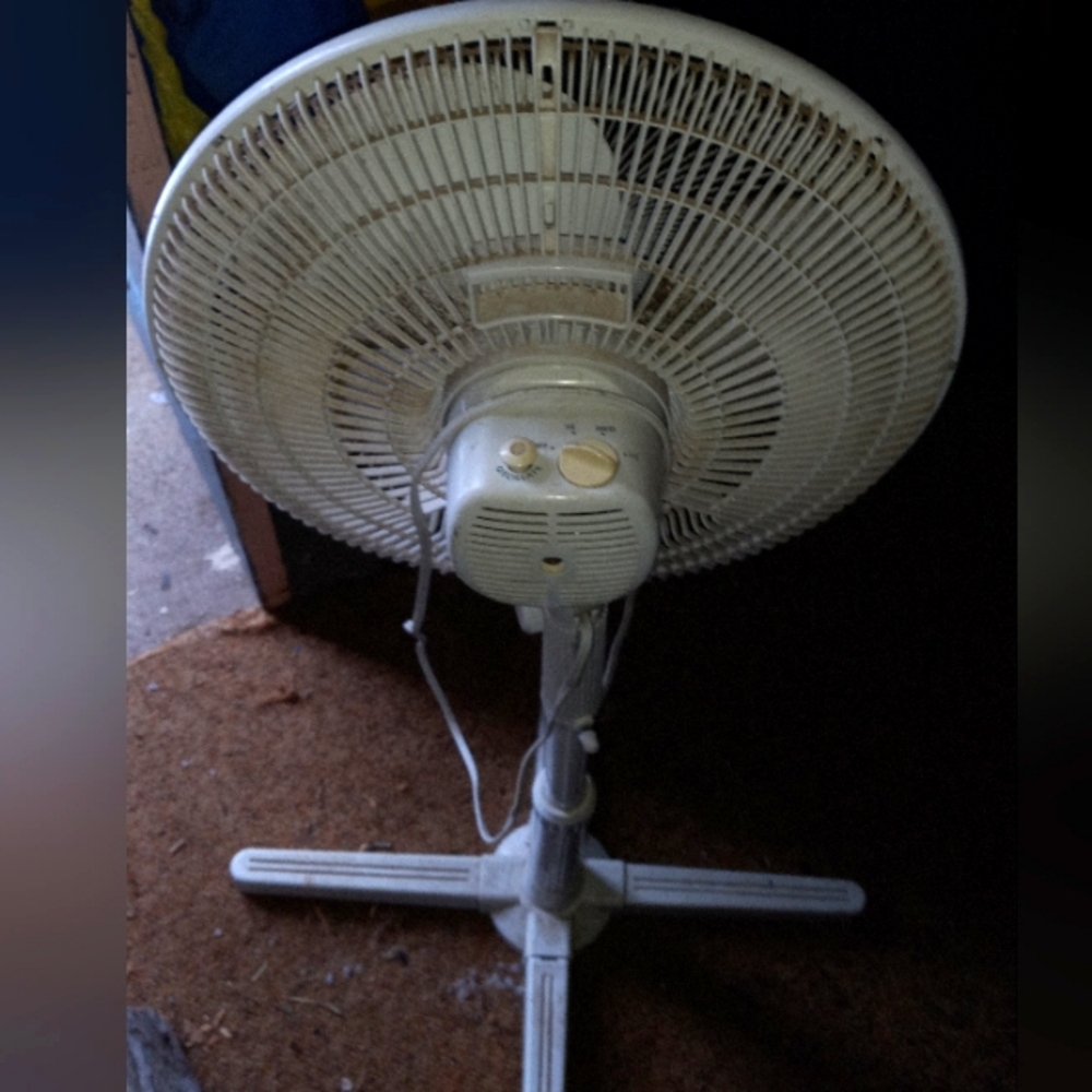 FAN WITH STAND